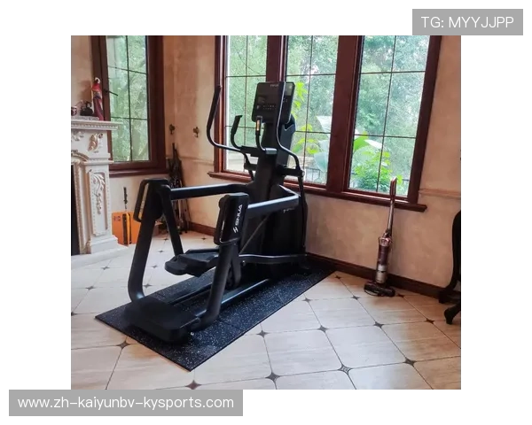 如何选择适合的室内大型健身器材？功能与特点解析