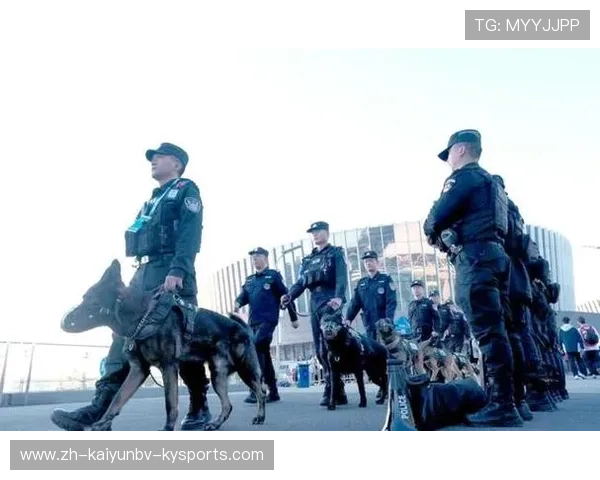 足球警犬队部署是否提升大型比赛现场的防爆与识别能力